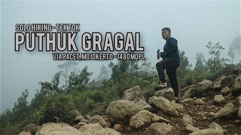 puthuk gragal  mdpl  pacet mojokerto solo hiking tek tok