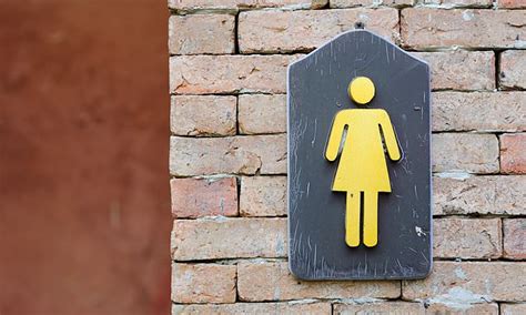 Support For Trans Women Using Single Sex Spaces Falls Daily Mail Online