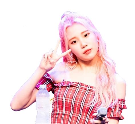 Jooe Momoland Transparent Image