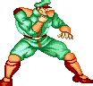 M. Bison (Street Fighter) GIF Animations