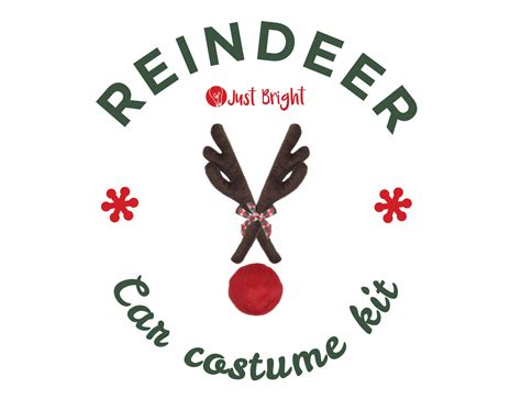 How To Install Reindeer Car Kit at Paula Barnhart blog