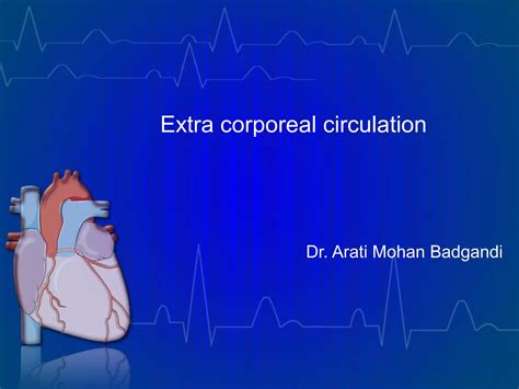 Extracorporeal Circulation Diagram 6