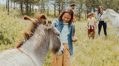 Plan Your Trip to the Badlands | Travel South Dakota