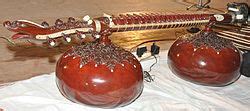 rudra veena wikipedia
