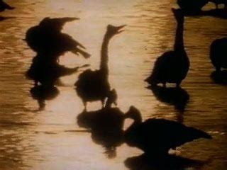 Homo Erectus Directed Joe Damato Porn B Xhamster Xhamster