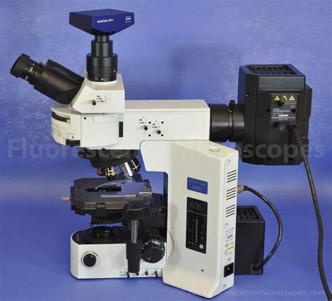 Fluorescence Microscopes - Olympus BX51 Upright Fluorescence Microscope ...