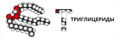 Триглицериды :: описание, нормы, причины, клиники