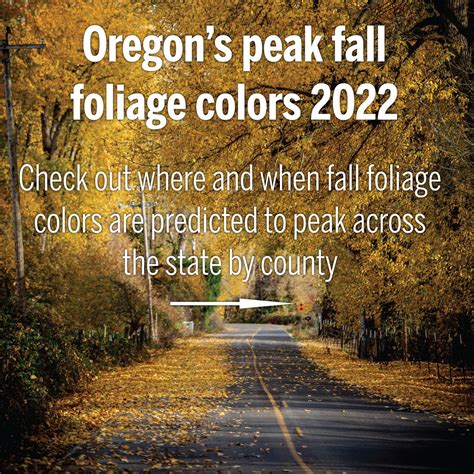 Heres When Fall Foliage Colors Peak In Oregon In 2022