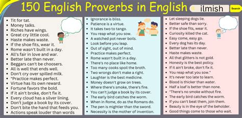 daily  proverbs  english common proverbs ilmish