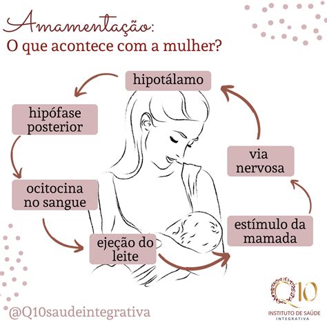 De Onde Vem O Leite Materno - Como O Leite Materno é Produzido - NAZAEDU