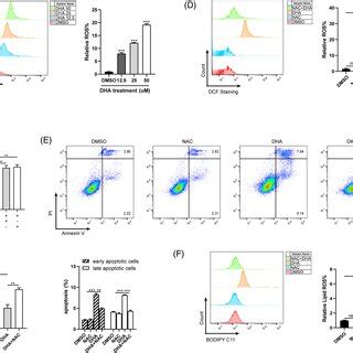 DHAinduced Autophagy Attenuated Its Induction Of Apoptosis And