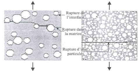 Diff Rents Types D Endommagement Dans Un Mat Riau H T Rog Ne De Type