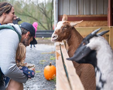 Boo at the Zoo 2024 - Cassaday & Company, Inc