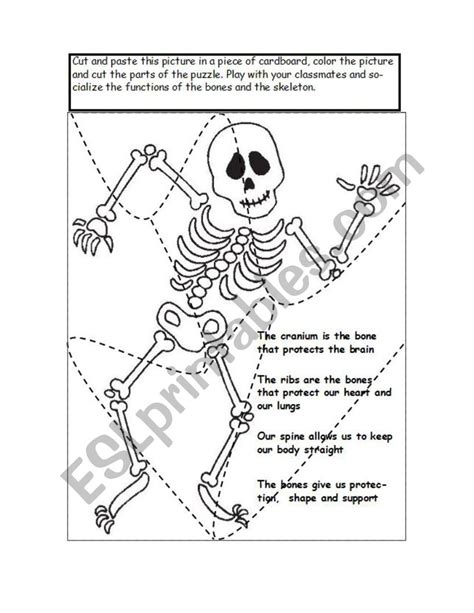 Skeleton Puzzle Printable