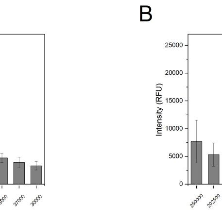 Fluorescence intensity measured via Calcein-AM staining of different ...