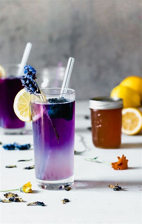 Butterfly Pea Flower Tea Cocktail Recipe Uk Shop Pinnaxis