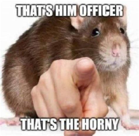 Rat Pointing At You That S Him Officer That S The Horny Hornyposting Know Your Meme