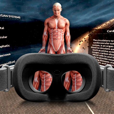 Oculus Virtual Reality Anatomy and Body Systems Educational VR