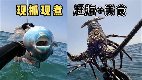 《环球探海记》阿曼 第47天：今天潜水抓龙虾时，竟然被巨型海鳗吓得全身发抖 抓龙虾 自由潜渔猎 环球赶海旅行 Youtube