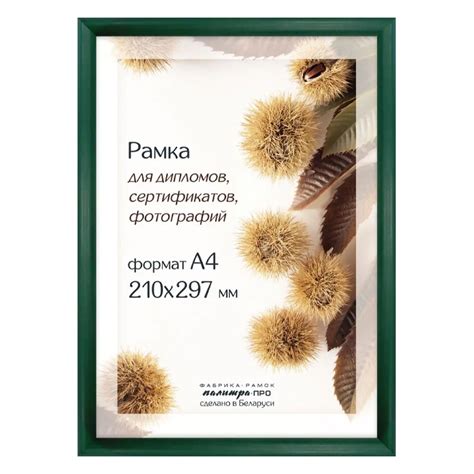 Рамка деревянная со стеклом 21х30, зеленая (арт. Д14КЛО/2232) - купить ...