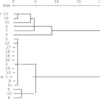 Hierarchical Cluster Analysis Of Dendrogram Using Average Linkage