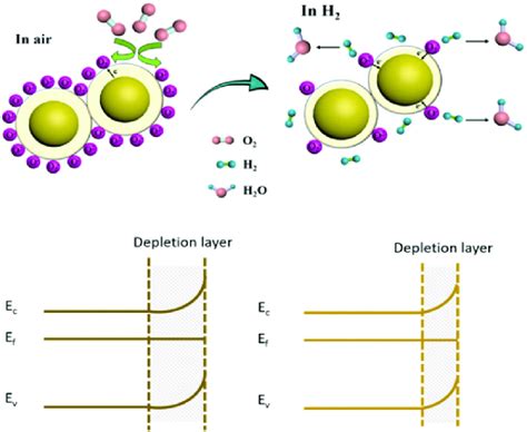 surface space charge model  scientific diagram