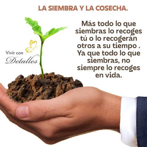 La Siembra Y La Cosecha Vivir Con Detalles