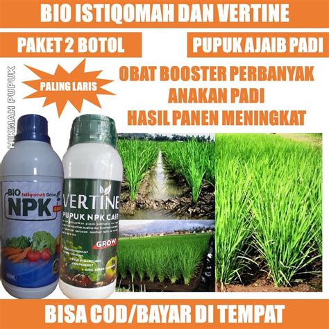 Jual PROMO PAKET 2 BOTOL PUPUK PADI VERTINE DAN ISTIQOMAH Penambah