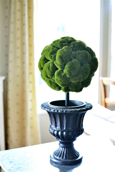 Moss Ball Topiary At The Picket Fence