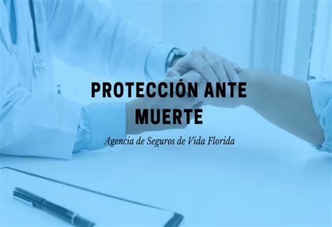 Seguros Protección Ante Muerte Dulcinea Insurance