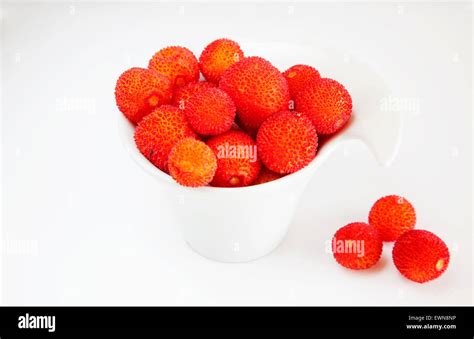 Red Autumn Fruits On White Background Stock Photo Alamy