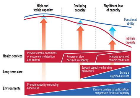 A Public Health Framework For Healthy Ageing Opportunities For Public