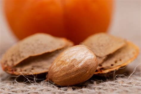 Fresh Organic Apricots And Apricot Kernels The Seed Of An Apricot