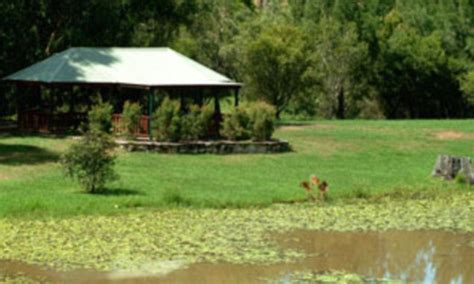 Hunt For Naked Man Who Performed Sex Act In Queensland Daily Mail Online