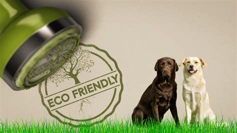 Eco-Friendly Pet Products - Barkly Grove