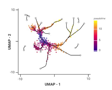 Slides Trajectory Analysis Trajectory Analysis Single Cell