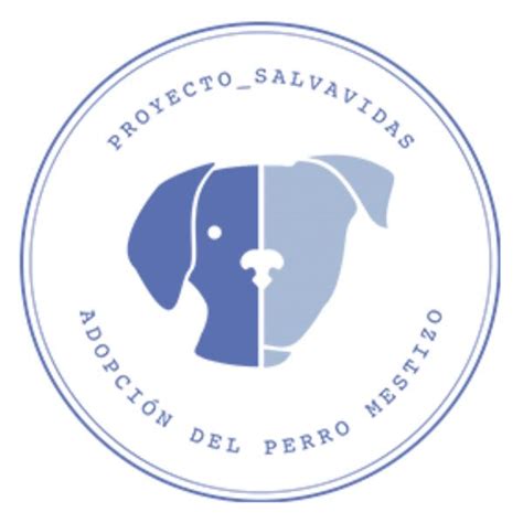 Proyecto Salvavidas Mx A C Instagram Linktree