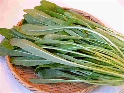 Recipes for Tom: Mizuna and mibuna mustard greens