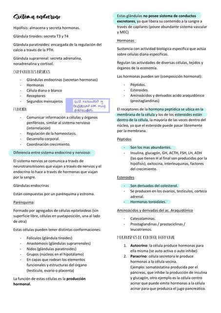 Sistema Endocrino Javiteeth UDocz