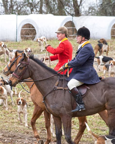 How Fox Hunting Saves The Land We Love Middleburg Life