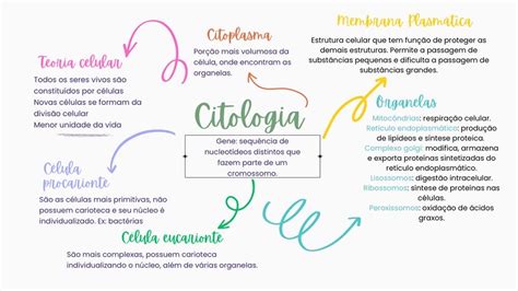 Mapa Mental Sobre Citologia - Mapa Mental Sobre Citologia Cervical