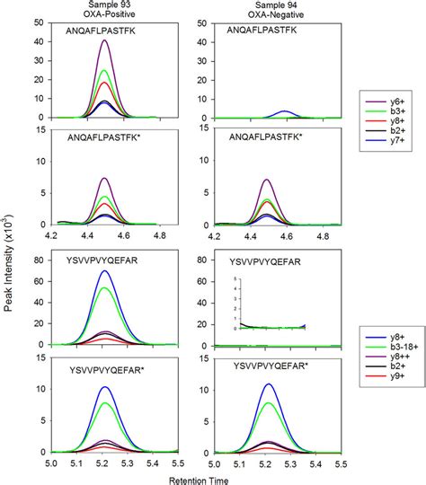 Lc Msms Chromatogram Of Positive And Negative Samples Lc Msms Download Scientific Diagram