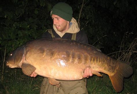 Умер самый крупный пресноводный карп по версии британских СМИ: masterok ...