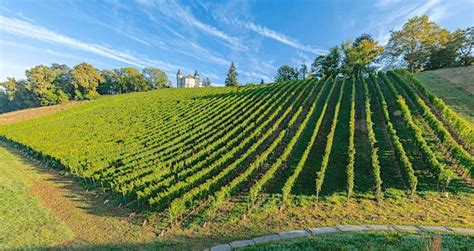 VIGNOBLE DE VILLE Le Château de Franqueville ouvre ses portes PresseLib