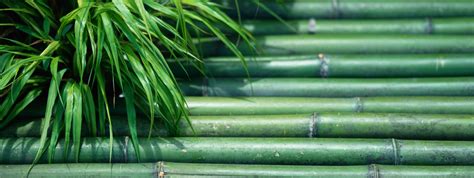 nomura funds ireland asia investment grade bond fund nomura asset