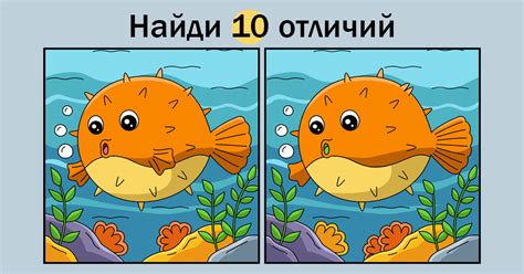 Головоломка с рыбой фугу: задание для детей и их родителей