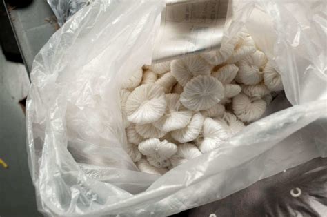 Hypnos Cypress Firm Hand Made Mattresses on Sale