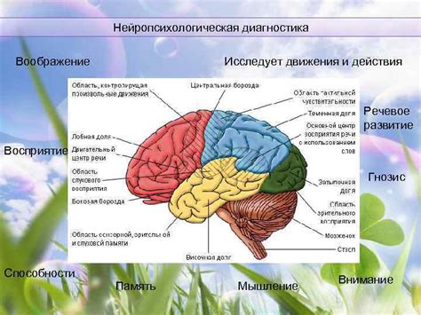 НЕЙРОПСИХОЛОГИЧЕСКАЯ ДИАГНОСТИКА | Типичный нейропсихолог | ВКонтакте