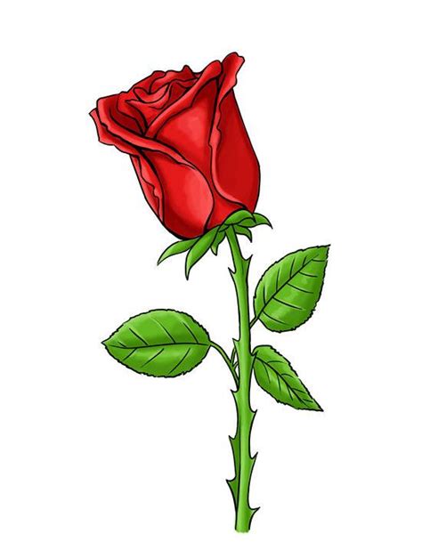 Red Rose Drawings Clipart Best