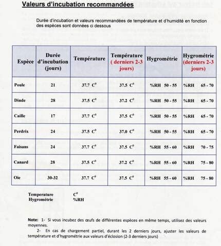 Folie La Personne Th Saurus Tableau D Incubation Des Oeufs Syllabe